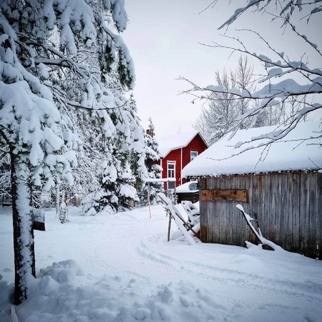 Emy's Travels - Travel planner - piscine